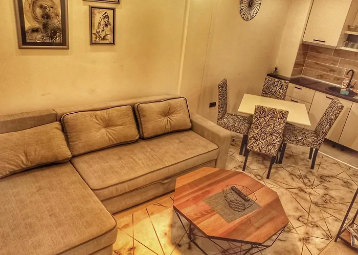 Milmari N56 Wellnes&spa * Kopaonik